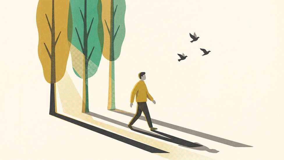 A person walking a quiet morning path as three small birds rise into a pale cream sky
