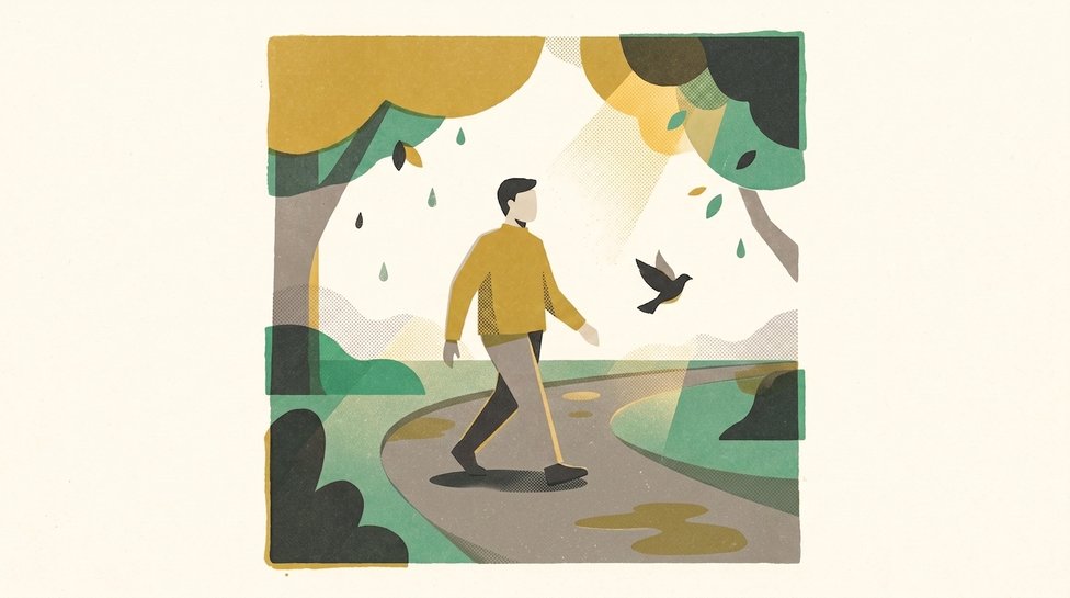 A person on a morning walk after rain, golden light breaking through trees, a small bird taking flight